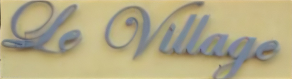 Logo Le Village